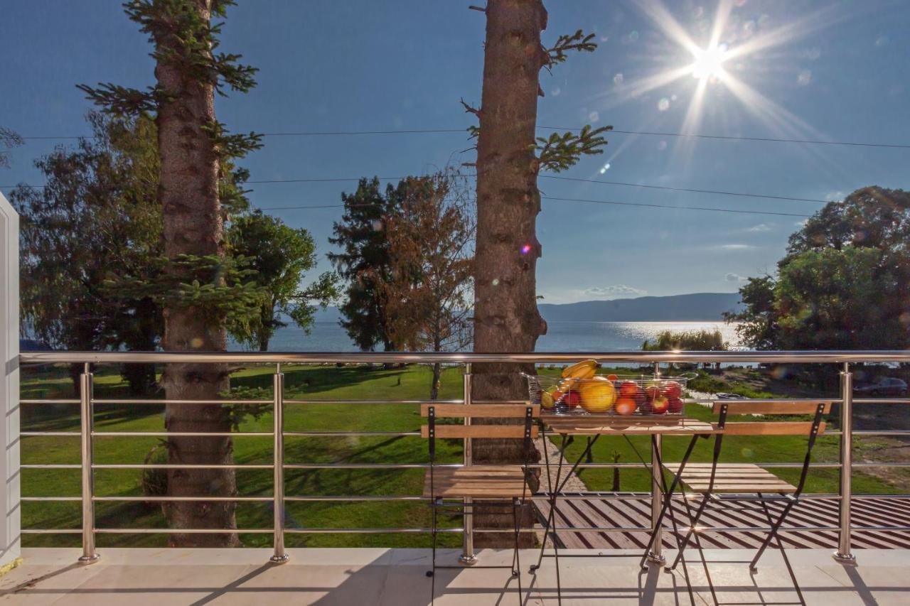 Green Space Hotel Ohrid Extérieur photo